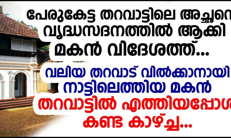 തറവാട് വിൽക്കാനായി അച്ഛനെ സൂത്രത്തിൽ വൃദ്ധസദനത്തിൽ ആക്കി മകൻ, ഇത് അറിഞ്ഞ അച്ഛൻ ചെയ്തത് കണ്ടോ