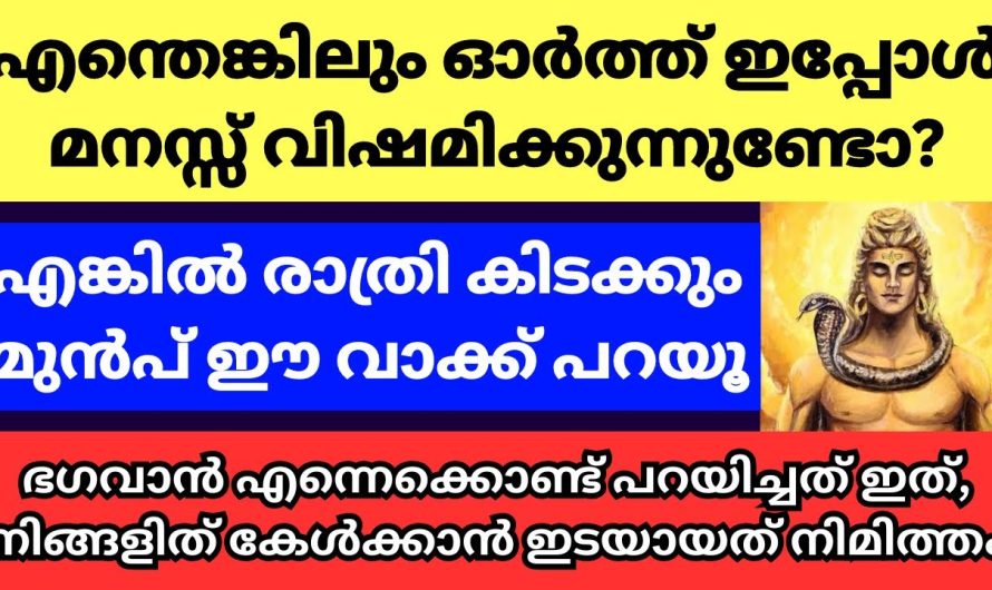 വിഷമിക്കുന്നുണ്ടോ ഇപ്പോൾ എങ്കിൽ രാത്രി കിടക്കു മുമ്പ് ഭഗവാന്റെ ഈ വാക്ക് പറയൂ!!!എത്ര വലിയ സങ്കടവും പമ്പ കടക്കും