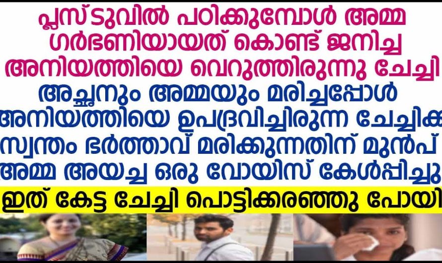 പഠിക്കുമ്പോൾ അമ്മ ഗർഭിണിയായി പ്രസവിച്ച അനിയത്തി ഉപദ്രവിച്ച ചേച്ചി വർഷങ്ങൾക്ക് ശേഷം  സത്യം തിരിച്ചറിഞ്ഞു ഞെട്ടിപ്പോയി