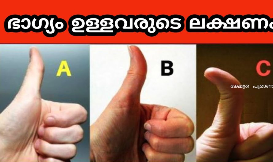 ഭാവി പറയും നിങ്ങളുടെ പെരുവിരൽ, രക്ഷപ്പെടുമോ ഇല്ലയോ എന്ന് അറിയണോ ഇതിൽ ഏതാണ് നിങ്ങളുടെ വിരൽ