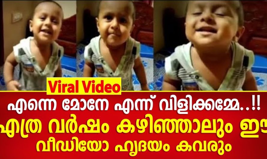 ഈ പിഞ്ചോമനയുടെ വീഡിയോ… എത്ര കണ്ടാലും മതിവരില്ല, എന്നെ മോനേ എന്ന് വിളിക്ക് അമ്മേ