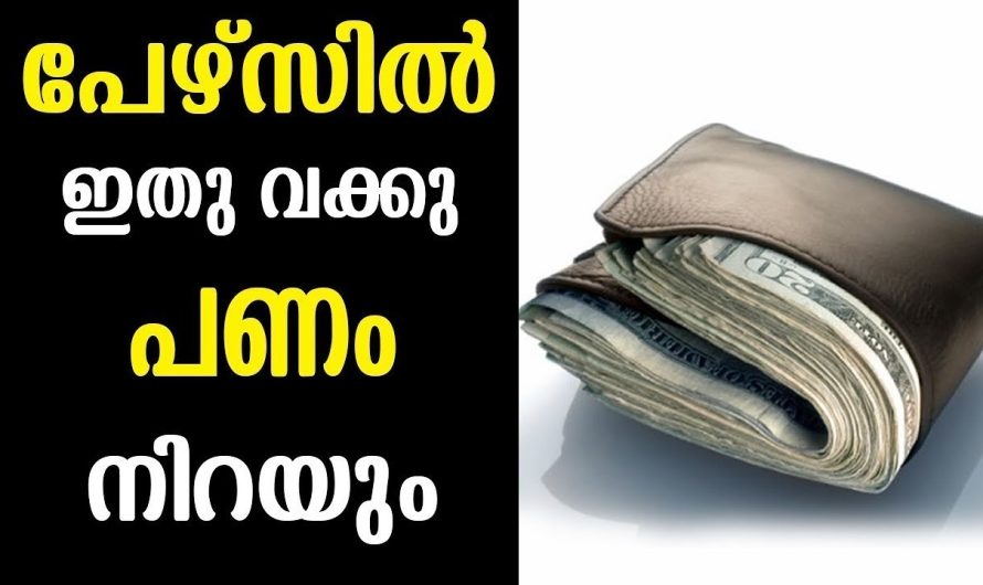 ഇതു മാത്രം ചെയ്താൽ മതി, പണം പേഴ്സിൽ നിറയാൻ, ഇനി പണ സംബന്ധമായിട്ടുള്ള ബുദ്ധിമുട്ടുകൾ ഒന്നും തന്നെ ഉണ്ടാകില്ല