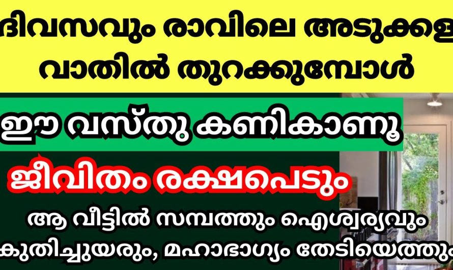 വീട്ടമ്മമാർ ദിവസവും ഈവസ്തു അടുക്കളയിൽ കണികണ്ടാൽ, ഏതു പണമില്ലാത്ത വീടും കൊട്ടാരമായി മാറും