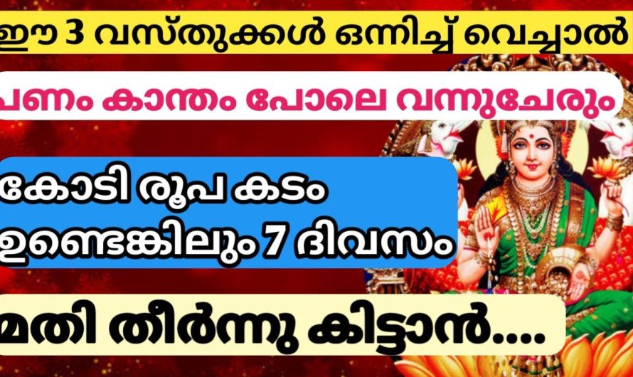 ഒരാഴ്ചയിൽ ഫലം തരും താന്ത്രികം, നിങ്ങളുടെ അലമാരയിൽ സൂക്ഷിക്കുക ഈ 3 വസ്തുക്കൾ,  ഇരട്ടിക്കും പണം…..