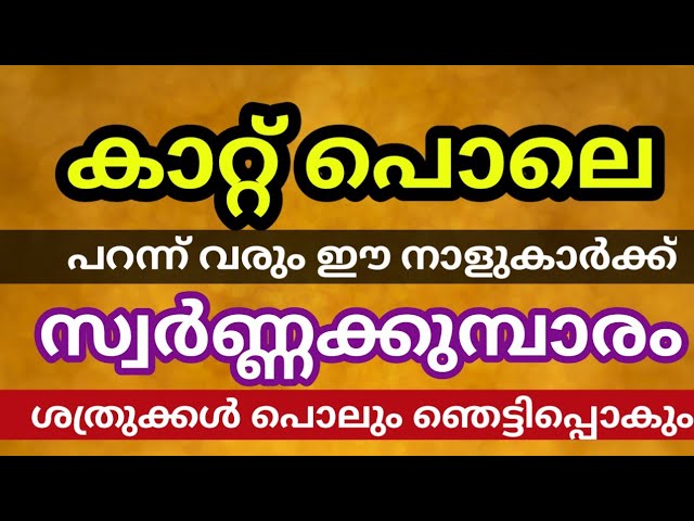 ഇവർക്ക് സ്വർണ്ണവും പണവും പിന്നെ എല്ലാമെല്ലാം, കാറ്റ് പൊലെ പറന്ന്  ഇവരുടെ കൈയിൽ വരും