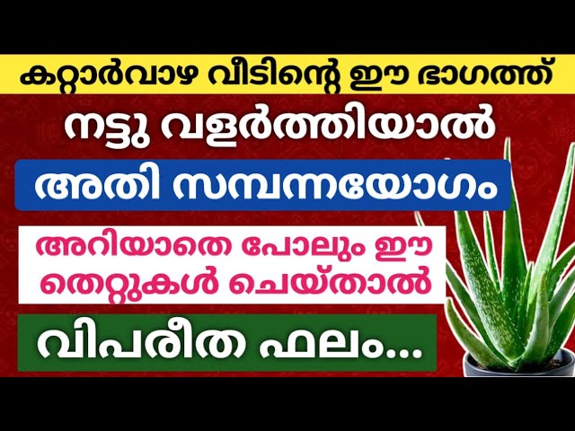 വീടിന്റെ ഈ ഭാഗത്ത്‌ കറ്റാർവാഴ വളർത്തി നോക്കൂ.. വീട് തേടി വരും അതി സമ്പന്നയോഗവും ഭാഗ്യവും!!