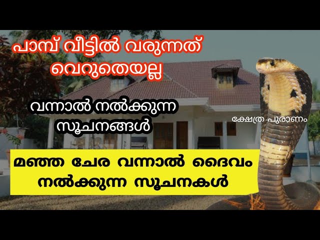 വീട്ടിൽ പാമ്പ് വരുന്നതിലൂടെ നമ്മുക്ക് ലഭിക്കുന്ന സൂചനകൾ, ഒരിക്കലും ഇവയെ നിസാരമാക്കി എടുക്കരുത്