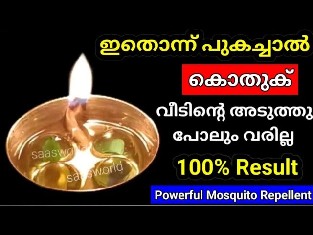 ഇതുമാത്രം മതി ഒരാഴ്ചത്തേക്ക്, വീടിന്റെ പരസരത്തു  കൊതുക് വരില്ല, തീർച്ച