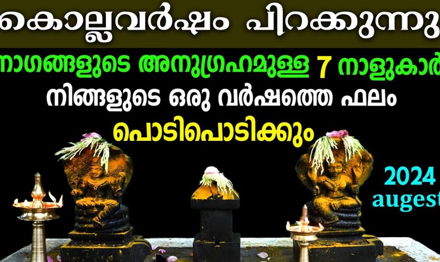 ഇനി ഉയർച്ചയുടെ കാലം ഈ 7 നാളുകാർക്ക്, തോൽവി ഇല്ല ഇനി!!!