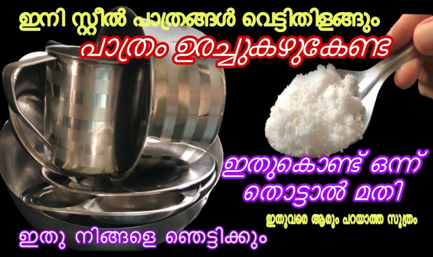 വെട്ടിതിളങ്ങും ഇനി സ്റ്റീൽ പത്രങ്ങൾ, ഒന്ന് തൊട്ടാൽ മതി ഇതു കൊണ്ട്