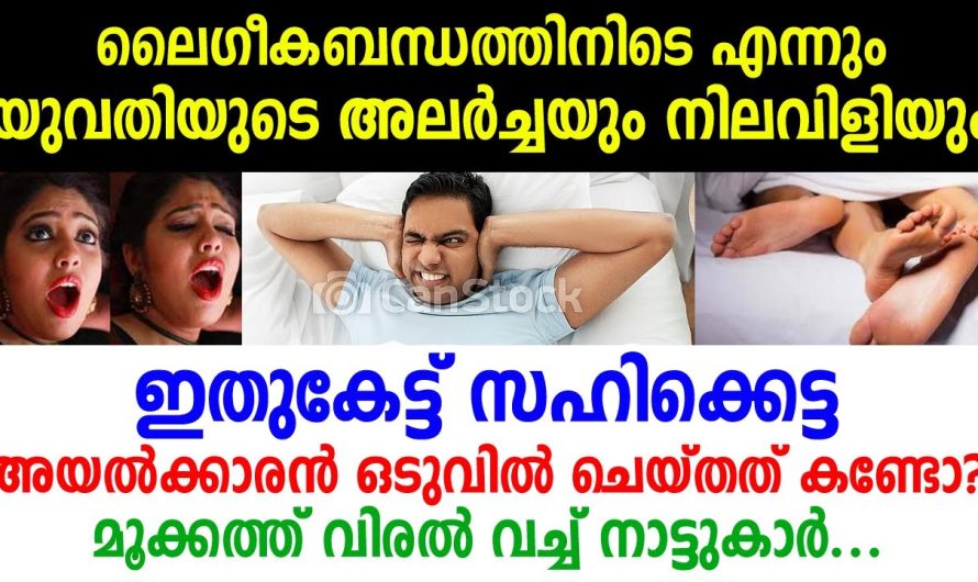 ദമ്പതികളുടെ മുക്കലും മൂളലും എന്നും രാത്രി അയല്പക്കത്തെ വീട്ടിൽ നിന്നും, ഒടുവിൽ സഹികെട്ട അയൽക്കാരൻ