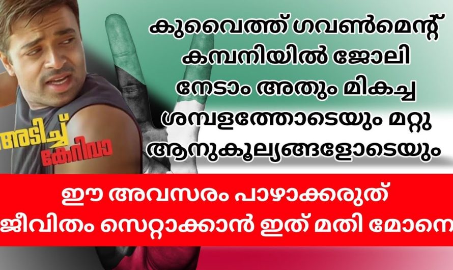 ഇപ്പോൾ വന്നിട്ടുള്ള തൊഴിലവസരങ്ങൾ , ഇതിനെ കുറച്ചു അറിയാതെ പോക്കല്ലേ