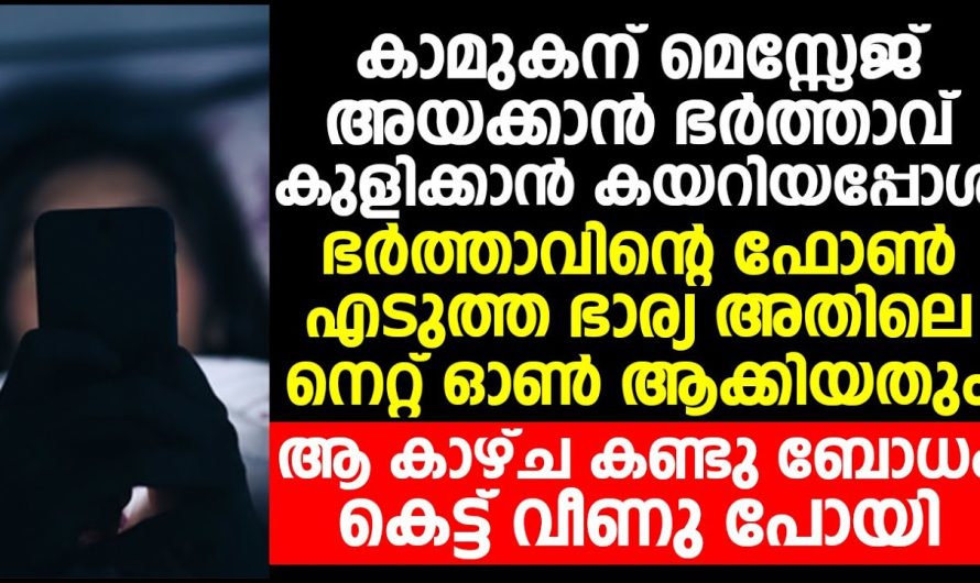 കാമുകനും മെസ്സേജ് അയക്കാനായി ഭർത്താവിന്റെ ഫോൺ എടുത്തപ്പോൾ, അതിൽ നെറ്റ് ഓൺ ആക്കിയതും ആവളാ കാഴ്ച കണ്ടു ബോധം പോയി