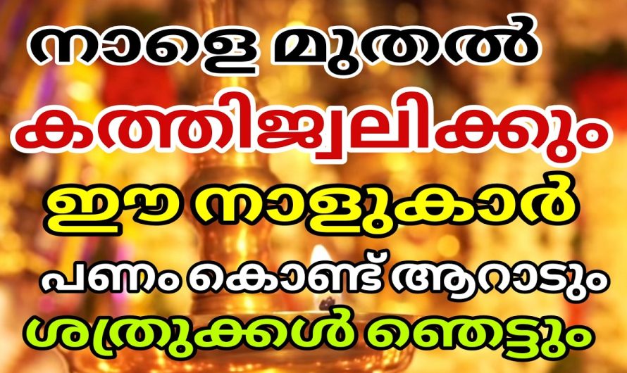 നിങ്ങളുടെ വീട്ടിലുണ്ടോ ഈ നക്ഷത്രങ്ങൾ ? സൗഭാഗ്യമാണ് നാളെ മുതൽ! രാജയോഗമാണ് വന്നു ചേരാനായി പോകുന്നത്