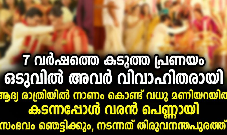 ആദ്യ രാത്രിയിൽ 7 വർഷം പ്രണയിച്ച ശേഷം വിവാഹം, എന്ന സംഭവിച്ചത് കണ്ടോ