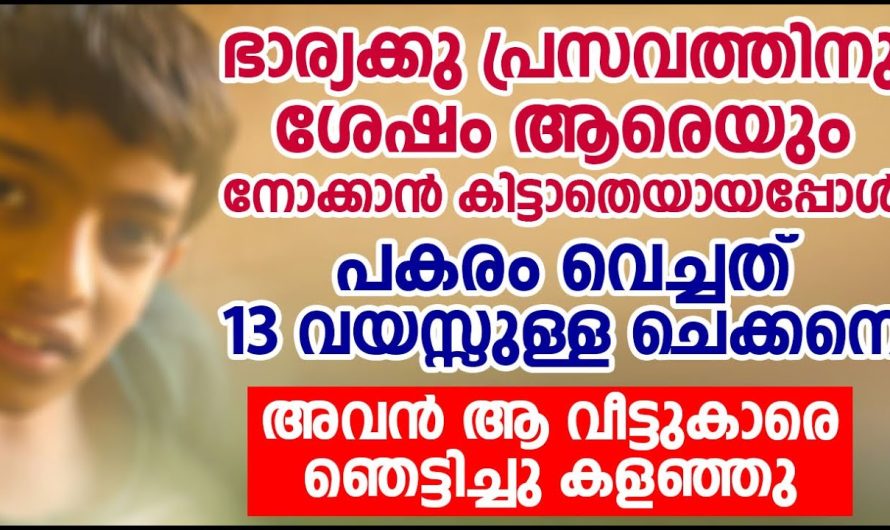 ഭാര്യ എതിർത്തിട്ടും ഭർത്താവ് കുട്ടിയെ നോക്കാൻ വച്ചത് 13 വയസ്സുള്ള ഒരു ചെക്കന് അവൻ വീട്ടുകാരെ ഞെട്ടിച്ചു കളഞ്ഞു