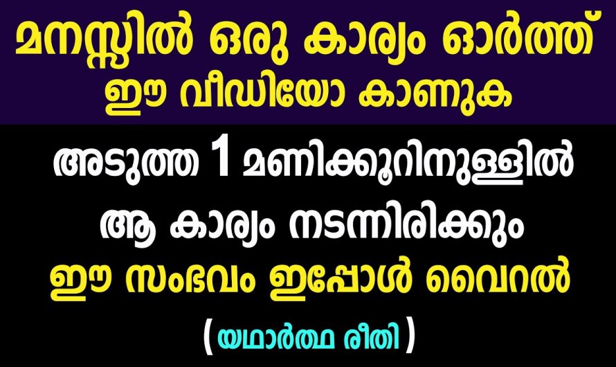 വീഡിയോ മുൻപ്പ്‌ മനസ്സിൽ ഒരു കാര്യം ഓർക്കുക അത് ഒരു മണിക്കൂറിനുള്ളിൽ തന്നെ നടന്നു കിട്ടും ഉറപ്പ്