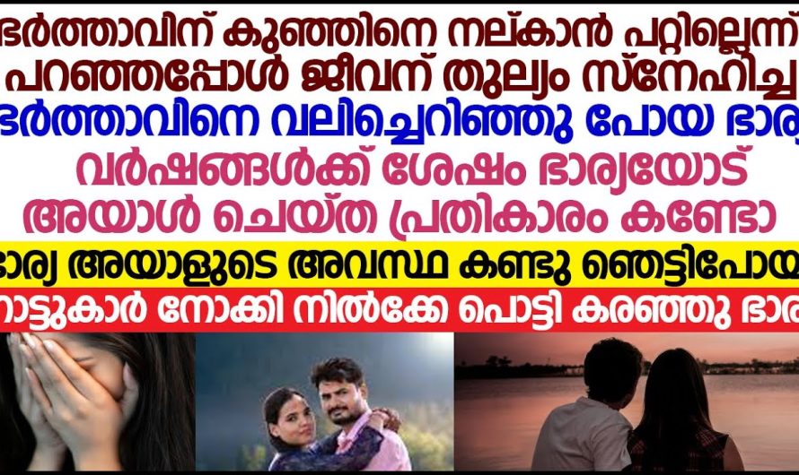 ഭർത്താവിന്റെ കൂടെ ഇരുന്നാൽ  താനൊരു ഗർഭിണിയാവില്ല എന്ന് മനസ്സിലാക്കിയ അവൾ ചെയ്തത് കണ്ടോ , നടന്നത് കണ്ട് കൊണ്ടു നാട്ടുകാർ പൊട്ടിക്കരഞ്ഞു