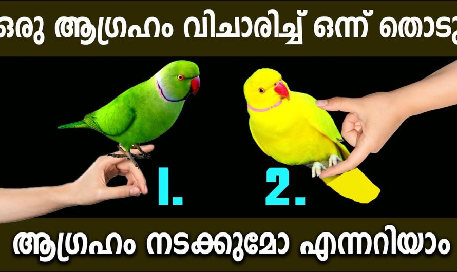 മനസ്സിലെ ആഗ്രഹം നടക്കുമോ? കൃത്യമായി പറയും എപ്പോൾ നടക്കും മനസ്സിലെ ആ  ആഗ്രഹം