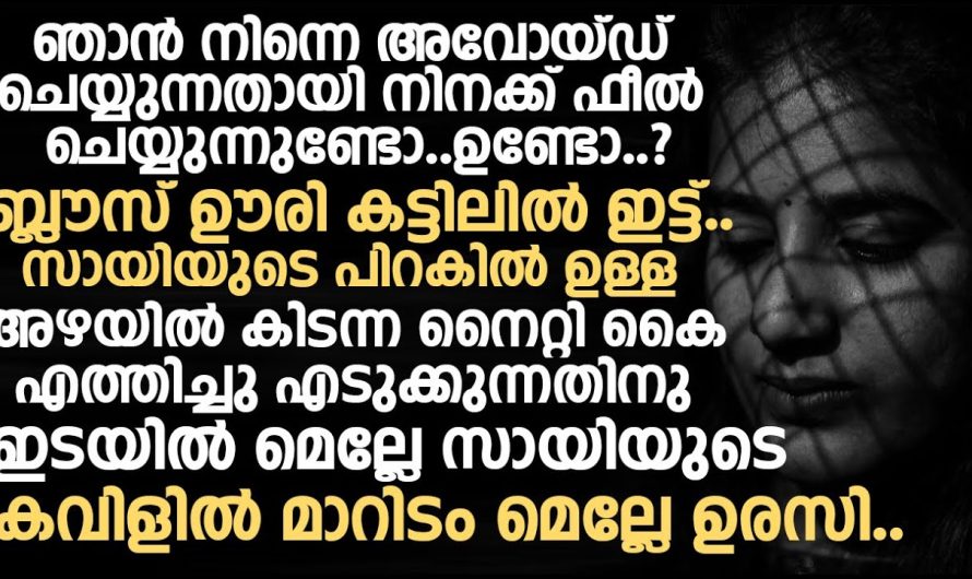 അഴയിൽ കിടന്ന നൈറ്റി കൈ എത്തിച്ചു എടുക്കുന്നതിനു ഇടയിൽ മെല്ലേ, അവൻ ഒപ്പിച്ച പണി കണ്ടോ?