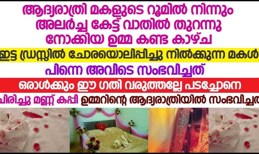 പാതിരാത്രി മകളുടെ മുറിയിൽ നിന്നും അലർച്ച കേട്ട് ഒ നോക്കിയാ ആ മാതാപിതാക്കൾ കാഴ്ച കണ്ടു ഞെട്ടിപ്പോയി