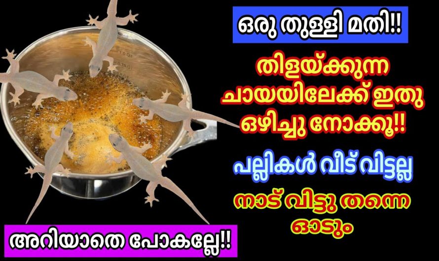 പല്ലികൾ വിറച്ചോടും ഒരു തുള്ളി ചായയിൽ ഒഴിക്കൂ ,ഇതു കണ്ടില്ലെങ്കിൽ നഷ്ട്ടം