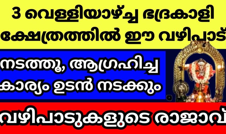 ഭദ്രകാളി അമ്മയുടെ അമ്പലത്തിൽ തുടർച്ചയായി 3 വെള്ളിയാഴ്ച്ച ഇത് ചെയ്യൂ, വിചാരിച്ച കാര്യം വളരെ പെട്ടന്ന്  നടന്ന് കിട്ടും