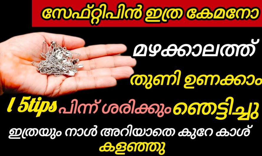 എണ്ണിയാലൊതുങ്ങാത്ത രഹസ്യങ്ങൾ സേഫ്റ്റിപിൻപാക്കറ്റ് കൊണ്ട്!