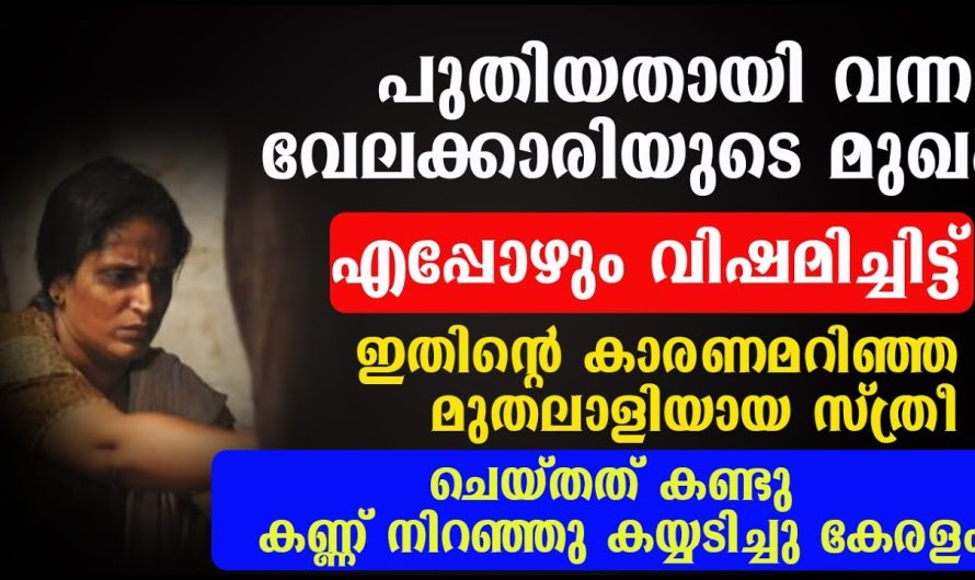 വേലക്കാരി എപ്പോഴും വിഷമിച്ചിട്ട്,  മുതലാളിയായ സ്ത്രീ ഇതിന്റെ കാരണം അറിഞ്ഞപ്പോൾ  ചെയ്തത് കണ്ടോ