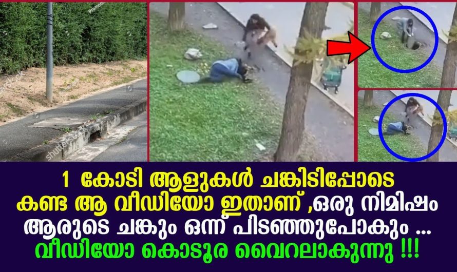 ചങ്കിടിപ്പോടെ 1 കോടി ആളുകൾ കണ്ട ആ വീഡിയോ ഇതാണ്, കൊടൂര വൈറലാകുന്നു ഈ വീഡിയോ !!!!