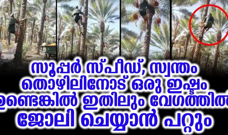 ഇതിലും വേഗത്തിൽ ജോലി ചെയ്യാൻ പറ്റും, സ്വന്തം തൊഴിലിനോട് ഇഷ്ടം ഉണ്ടെങ്കിൽ സൂപ്പർ സ്പീഡ്,