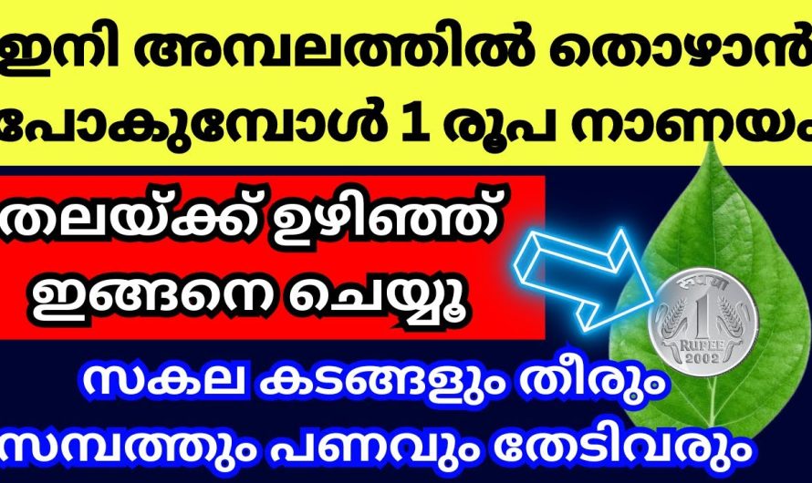 ഇങ്ങനെ കാണിക്ക വഞ്ചിയിൽ ഇനി തൊഴാൻ പോകുമ്പോൾ നാണയം സമർപ്പിച്ച് പ്രാർത്ഥിക്കൂ