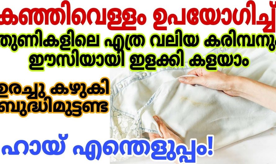 തുണികളിലെ എത്ര വലിയ കരിമ്പനും കഞ്ഞിവെള്ളം ഉപയോഗിച്ച് ഈസിയായി ഇളക്കി കളയാം|