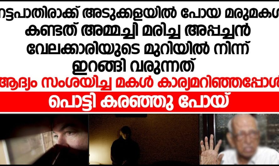 വേലക്കാരിയുടെ മുറിയിൽ നിന്നും ഇറങ്ങിവരുന്ന അപ്പച്ചനെ കണ്ട് മരുമക്കൾ ഭർത്താവിനോട് പറഞ്ഞപ്പോൾ അവിടെ സംഭവിച്ചത് കണ്ടു