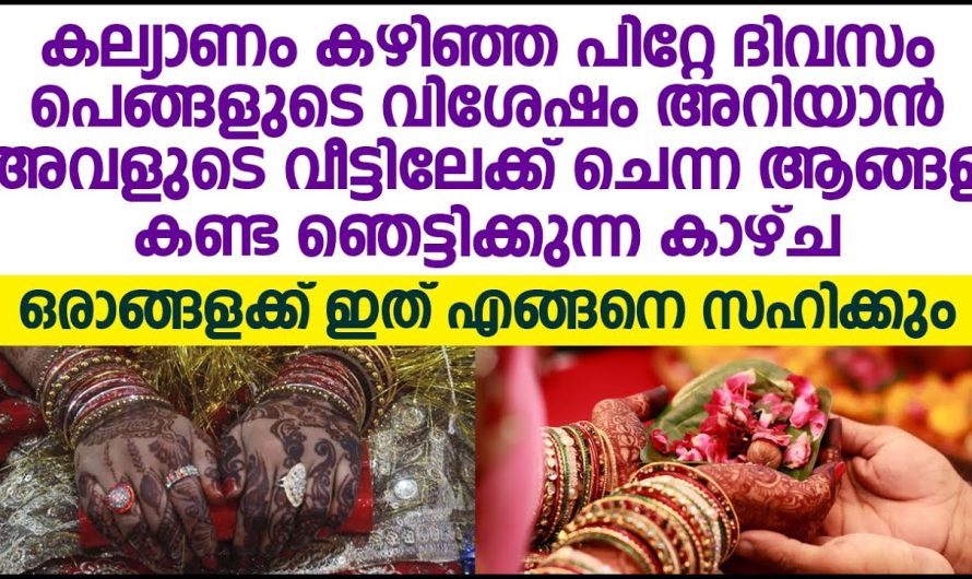 പെങ്ങളുടെ കല്യാണം കഴിഞ്ഞ് അടുത്ത ദിവസം അവരുടെ വിശേഷം അറിയാൻ പോയ ആങ്ങള അവിടെ കണ്ടത്, പിന്നെ അവിടെ നടന്നത് കണ്ടോ