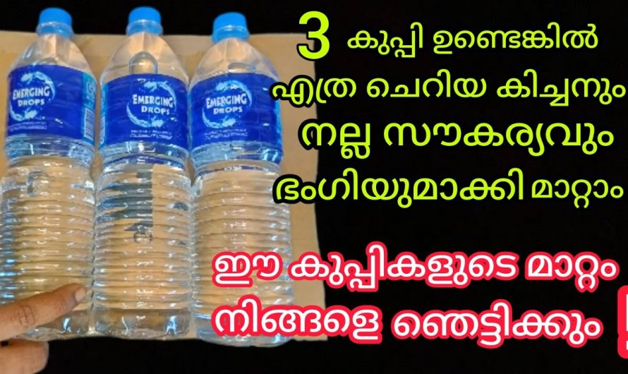 എത്ര ചെറിയ കിച്ചനിലും 3 കുപ്പിയുണ്ടെങ്കിൽ സൗകര്യം കൂട്ടാം, ഇത് മാത്രം മതി