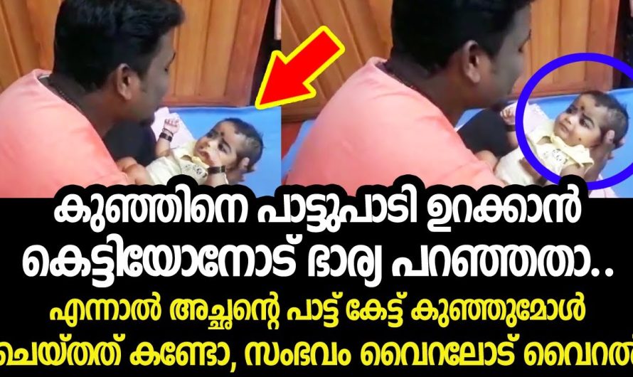 കുഞ്ഞിനെ പാട്ടുപാടി ഉറക്കാൻ പറഞ്ഞതാ, പിന്നെ സംഭവിച്ചത് കണ്ടോ