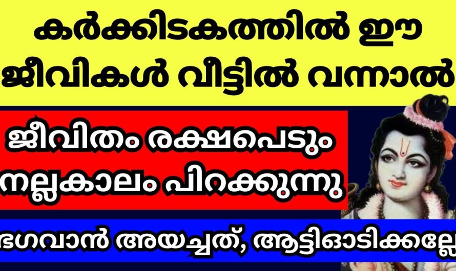 ഈ ജീവികളെ ഈ രാമായണ കാലത്ത് വീട്ടിലോ പരിസരത്തോ കണ്ടാൽ, ആട്ടി പായിക്കല്ലേ,നമുക്ക് ഭാഗ്യവുമായി ആയി ആണ് അവ വരുന്നത്