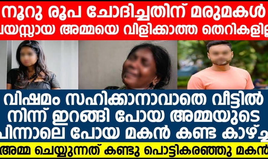 വയസ്സായ അമ്മയെ നൂറു രൂപ ചോദിച്ചതിന് മരുമകൾ ചെയ്യുന്നത് കണ്ടു പൊട്ടി കരയാൻ മാത്രം സാധിച്ചുള്ളൂ