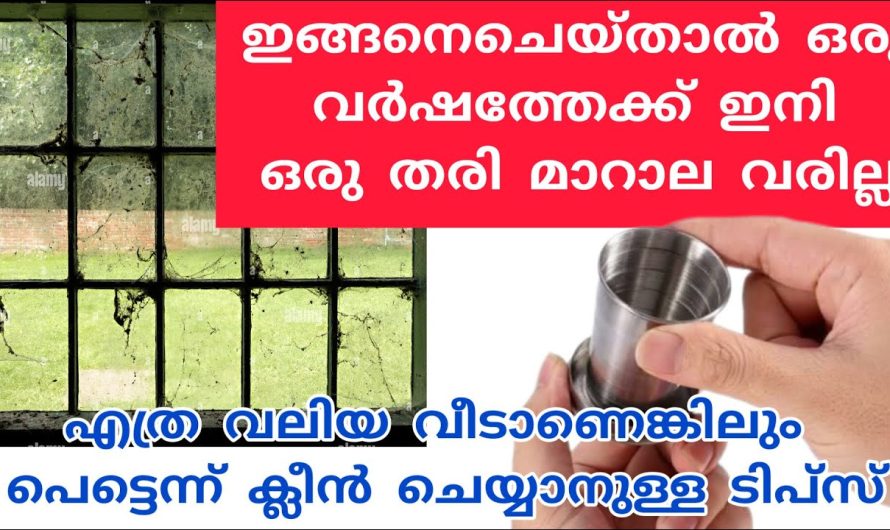 വീടു പെട്ടെന്ന് ക്ലീൻ ചെയ്യാൻ, മാറാല വരാതിരിക്കാനും ചെയ്യാനുമുള്ള ടിപ്സ്