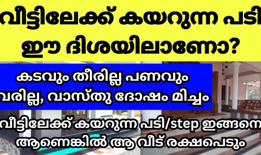 വീടിന്റെ ഈ ഭാഗത്ത് വീട്ടിലേക്ക് കയറുന്ന പടി, വന്നാൽ വാസ്തു ഭാഗ്യം, നിങ്ങളുടെ വീടിന്‌ ഇങ്ങനെയാണോ പടികൾ ഉള്ളത്