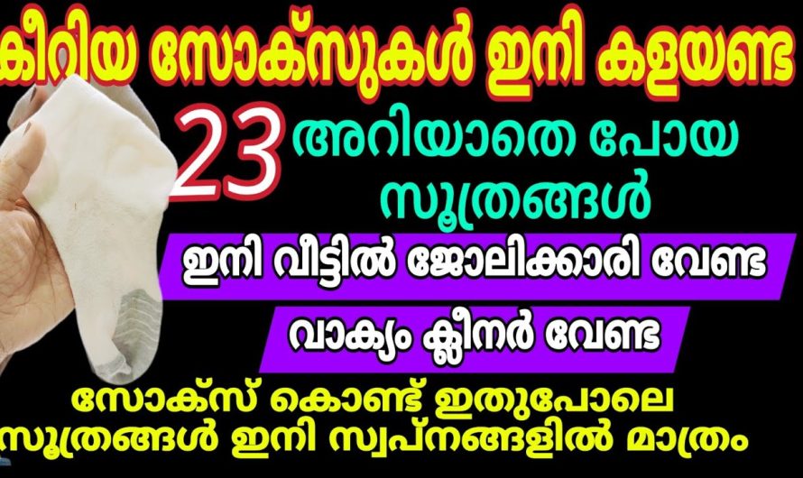 ഇനി കളയേണ്ട കീറിയ സോക്സുകൾ, ഈ 23 ഉപയോഗങ്ങൾ അറിഞ്ഞാൽ നിങ്ങൾ ഞെട്ടും