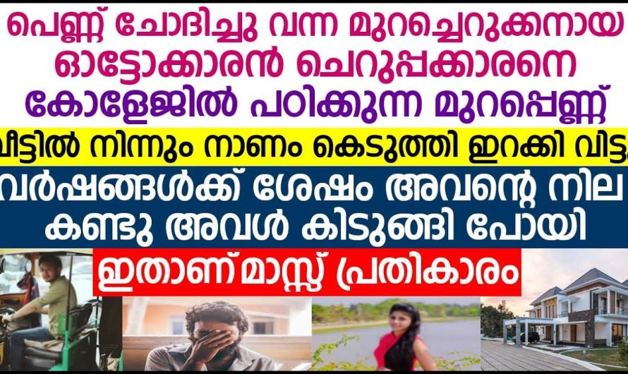 ഓട്ടോ  ഓടിക്കാൻ പോകുന്നവനെ കല്യാണം കഴിക്കണോ എന്ന് പറഞ്ഞ് അപമാനിച്ച് മുറ പെണ്ണ്, എന്നാൽ വർഷങ്ങൾക്ക് ശേഷം അവനെ കണ്ട് അവൾ ഞെട്ടി