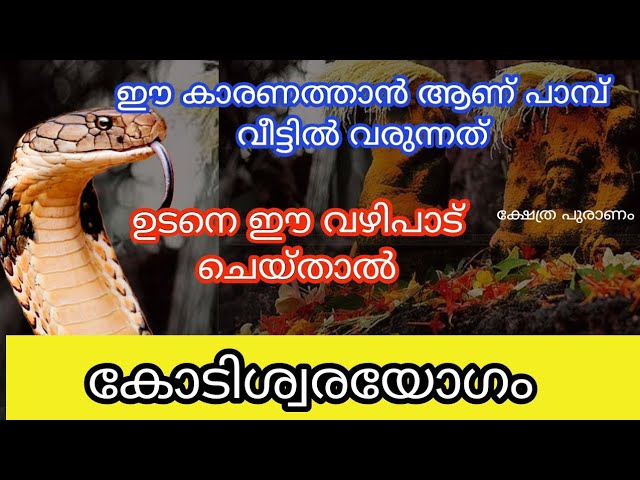 വീട്ടിൽ പാമ്പ്  വന്നാൽ ഉടനെ ചെയ്യേണ്ട വഴിപാട്, ചെയ്താൽ കോടീശ്വരയോഗം വന്നു ചേരും