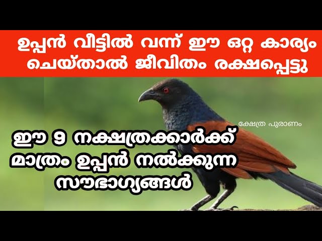 ആ വീട് രക്ഷപ്പെട്ടു, ഉപ്പൻ ഈ ഒറ്റ കാര്യം വീട്ടിൽ വന്ന് ചെയ്താൽ