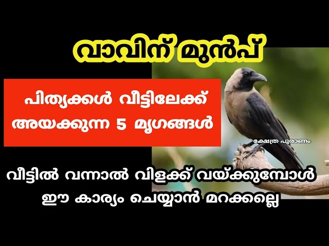 പിത്യക്കൾ കർക്കടക വാവിന് മുൻപിൽ അയക്കുന്ന 5 മൃഗങ്ങൾ