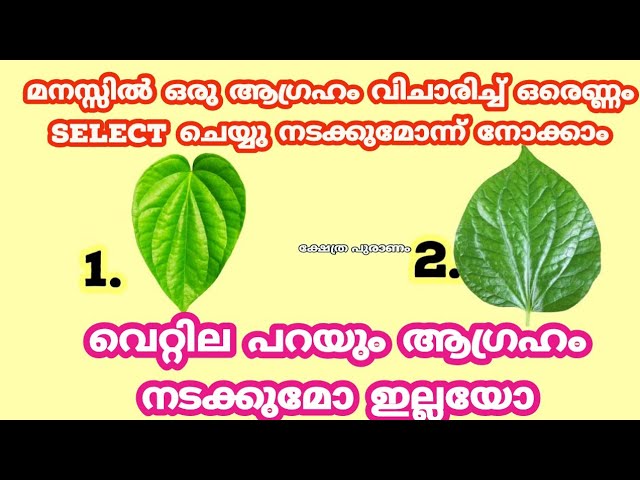 ഒരു ആഗ്രഹം മനസ്സിൽ വിചാരിച്ച് ഒരെണ്ണം സെലക്ട് ചെയ്യു, നടക്കുമോന്ന് നോക്കാം