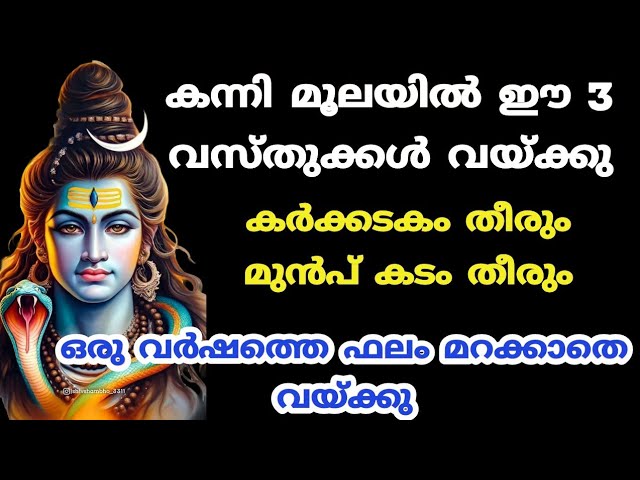 കർക്കടകത്തിൽ കടം തീരാൻ  ഒരുമിച്ച് വയ്ക്കേണ്ട വസ്തുക്കൾ, ചെയ്താൽ ഒരു വർഷത്തെ ഫലം ഉറപ്പ്