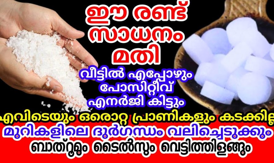 ഇതാദ്യം ആണ് ഇങ്ങനെ ചില ടിപ്സുകൾ, രണ്ടേ രണ്ട് സാധനങ്ങൾ കൊണ്ട് ഒരു പിടി സൂത്രങ്ങൾ