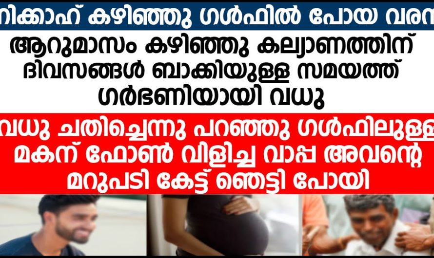 ആറുമാസം കഴിഞ്ഞപ്പോൾ ഗർഭണിയായി വധു.പിന്നീട് സംഭവിച്ചത്, നിക്കാഹ് കഴിഞ്ഞു ഗൾഫിൽ പോയ വരൻ.